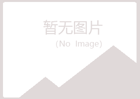 鹤岗兴山迷茫采矿有限公司